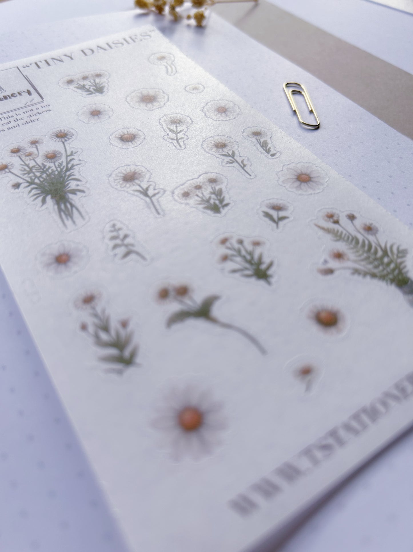 "Tiny Daisies"  Sticker Sheet