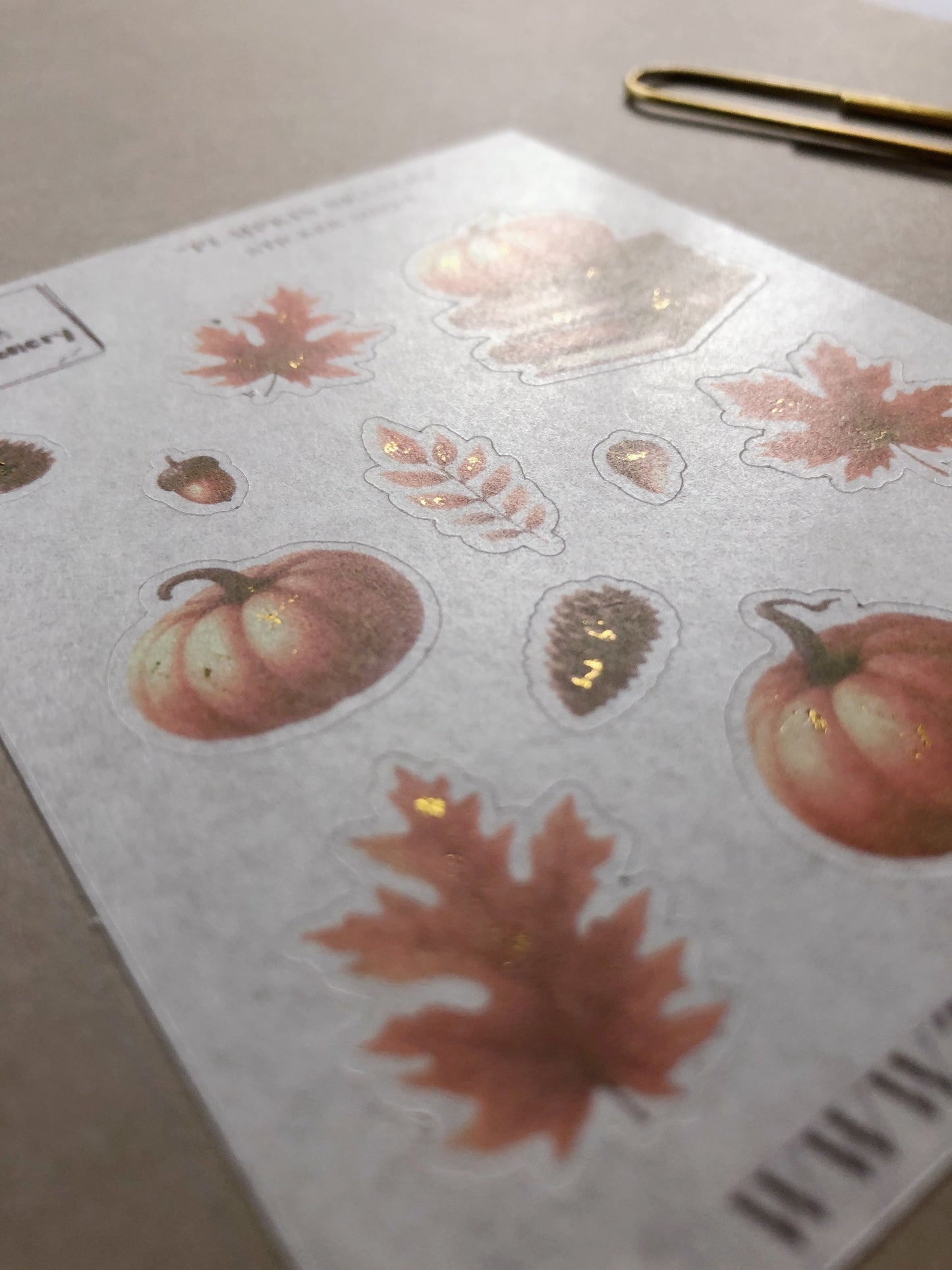 "Pumpkin Season" Washi Sticker Sheet (Gold Foil)