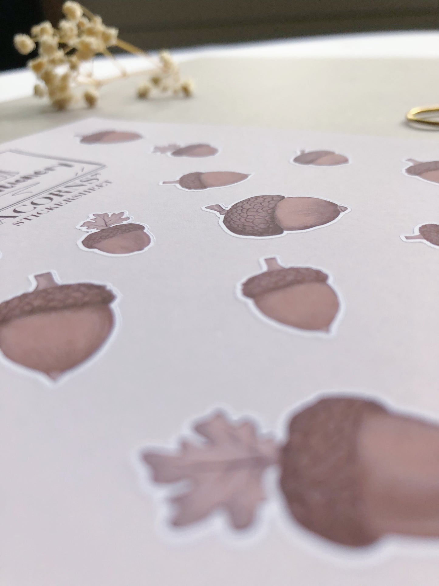 "Acorns" Sticker Sheet