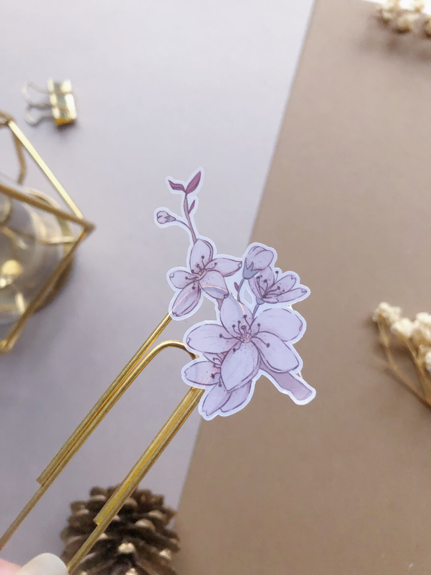 "PET Cherry Blossom Stickers"