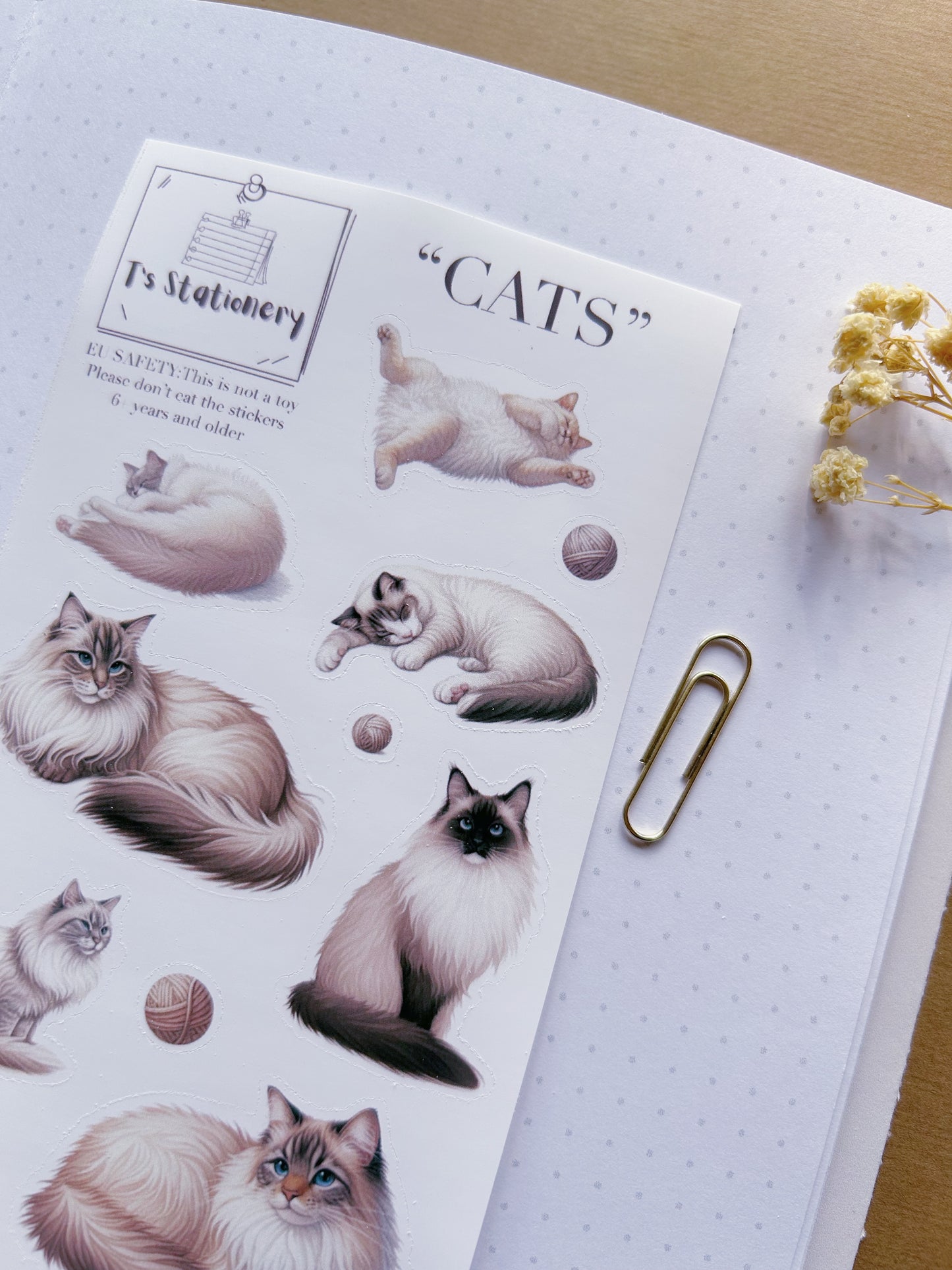 "Cats" Sticker Sheet