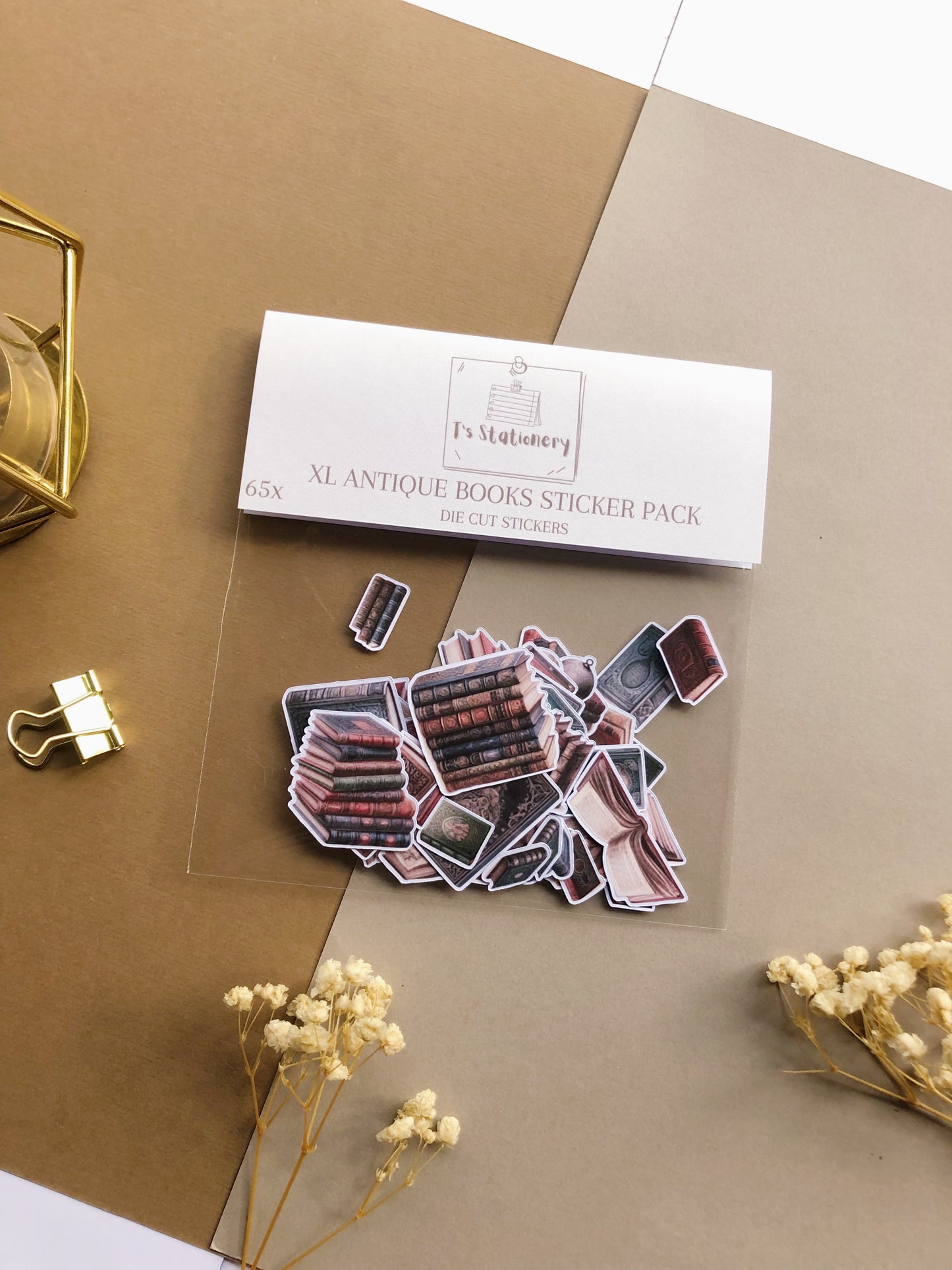 "65Pcs XL Antique Books" Sticker Pack