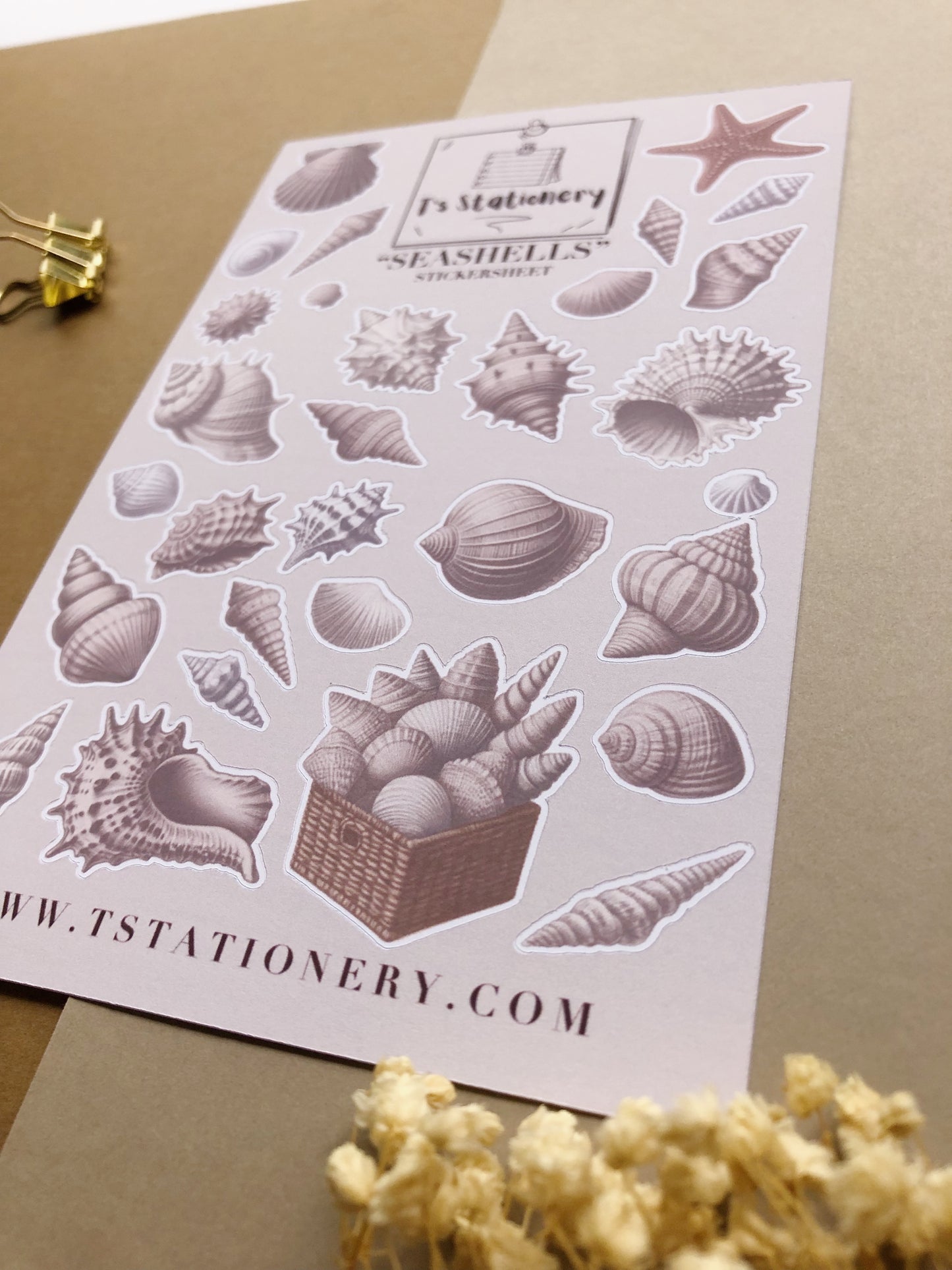 "Seashells" Sticker Sheet