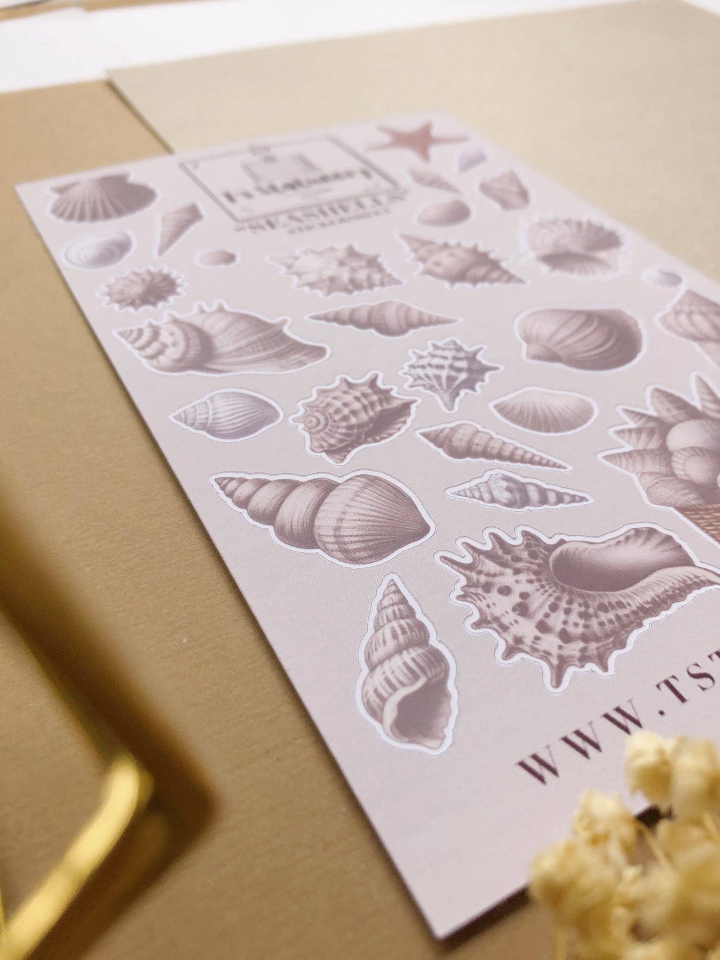 "Seashells" Sticker Sheet