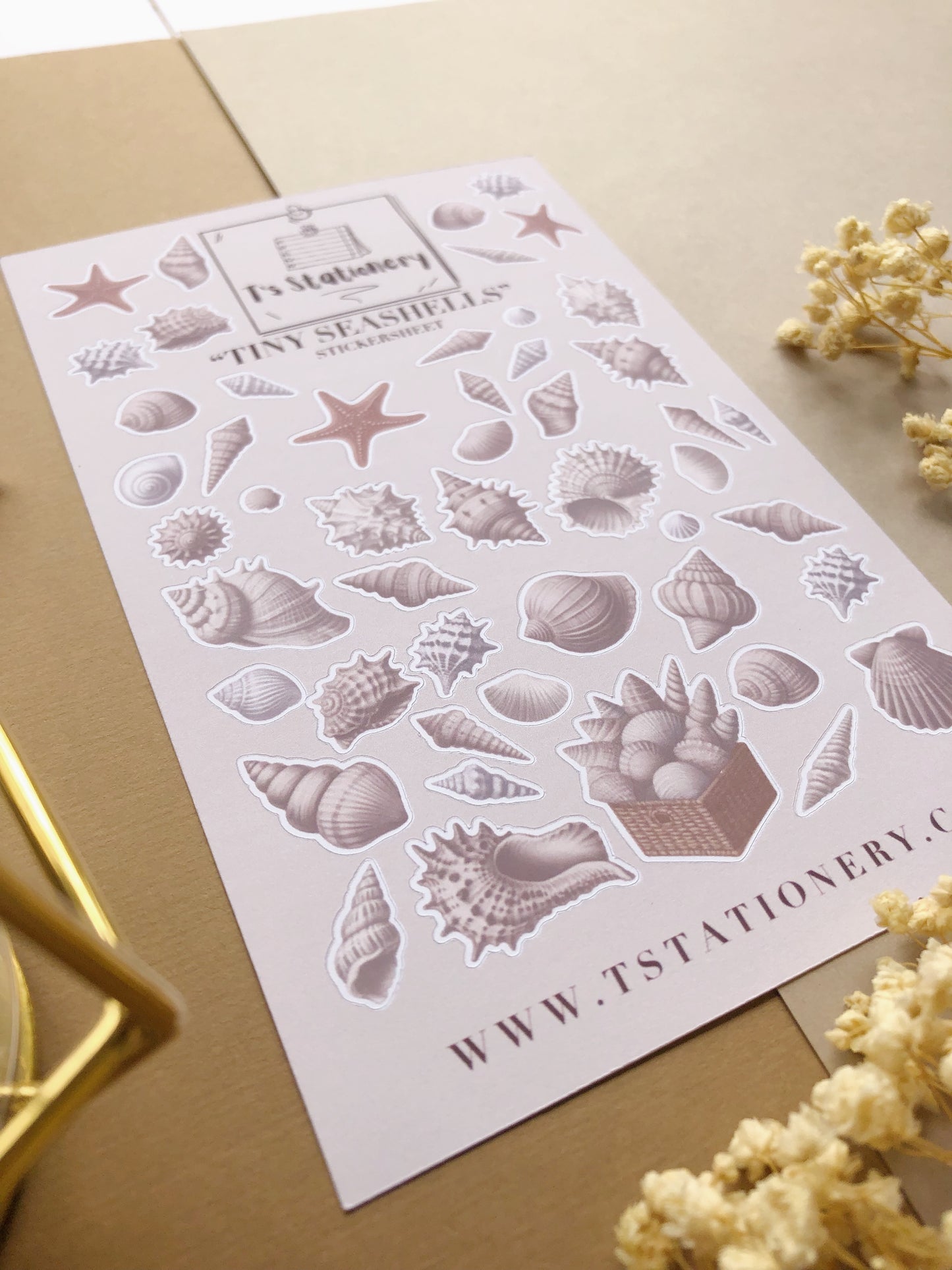 "Tiny Seashells" Sticker Sheet