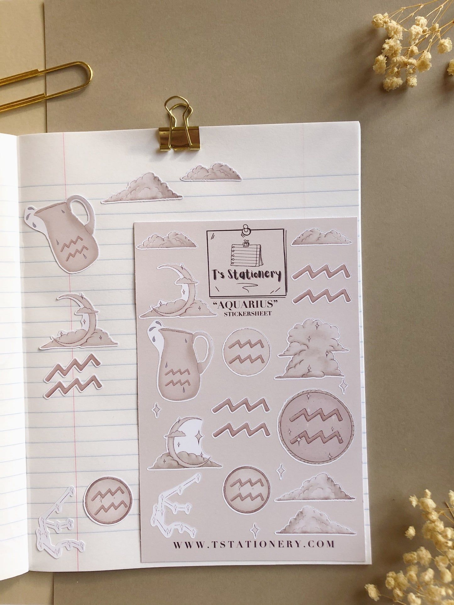 "Aquarius" Sticker Sheet