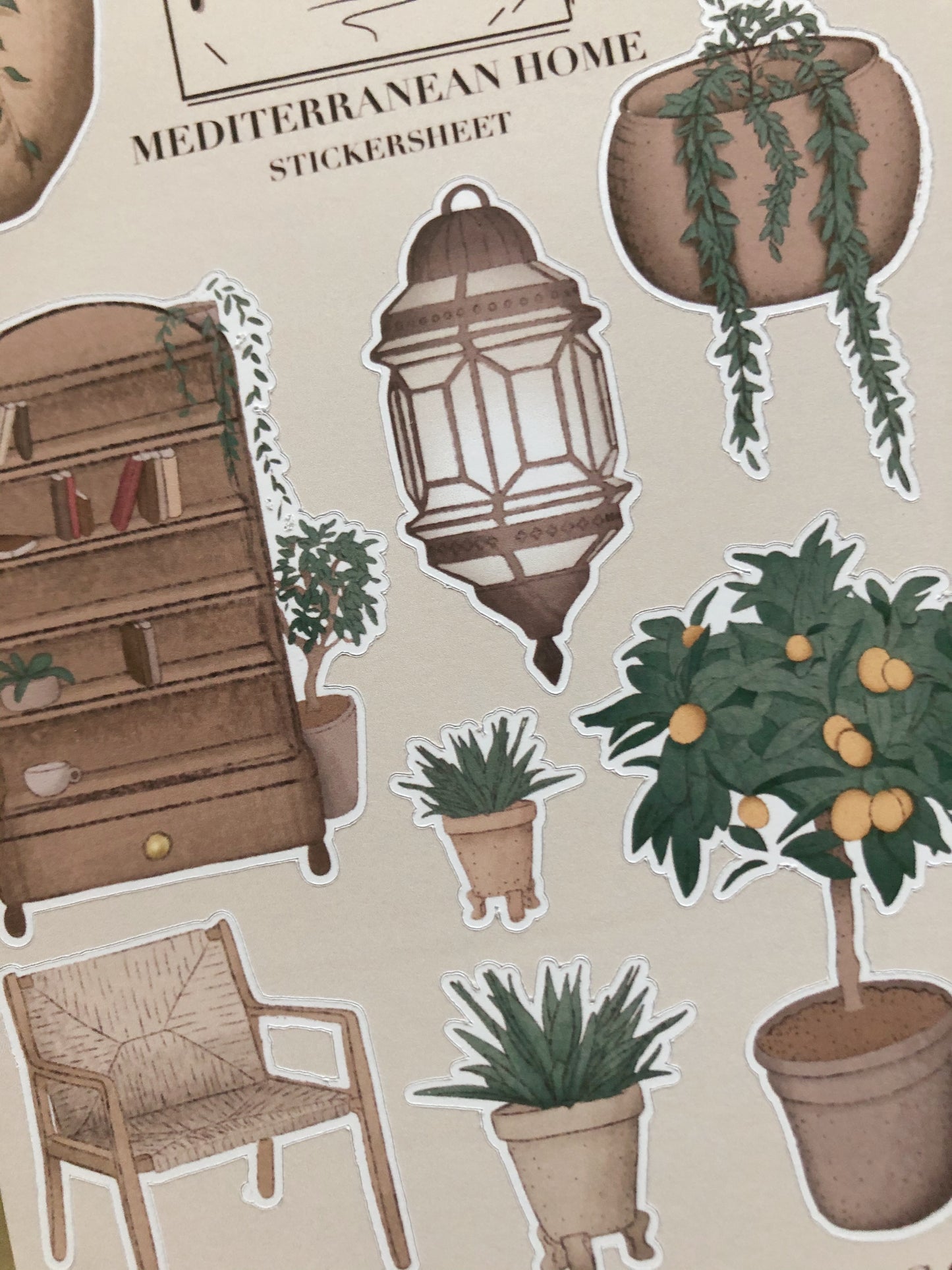 "Mediterranean Home"