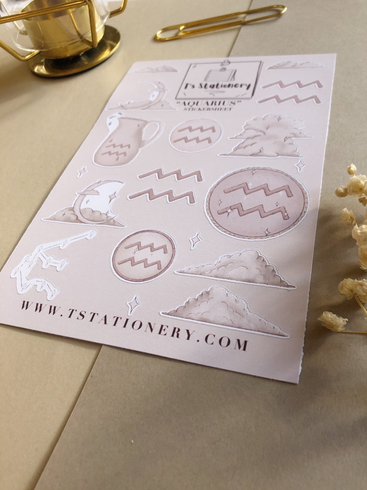 "Aquarius" Sticker Sheet