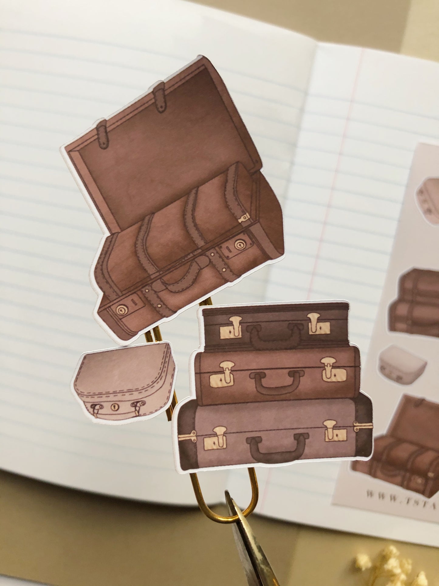"Vintage Suitcases"