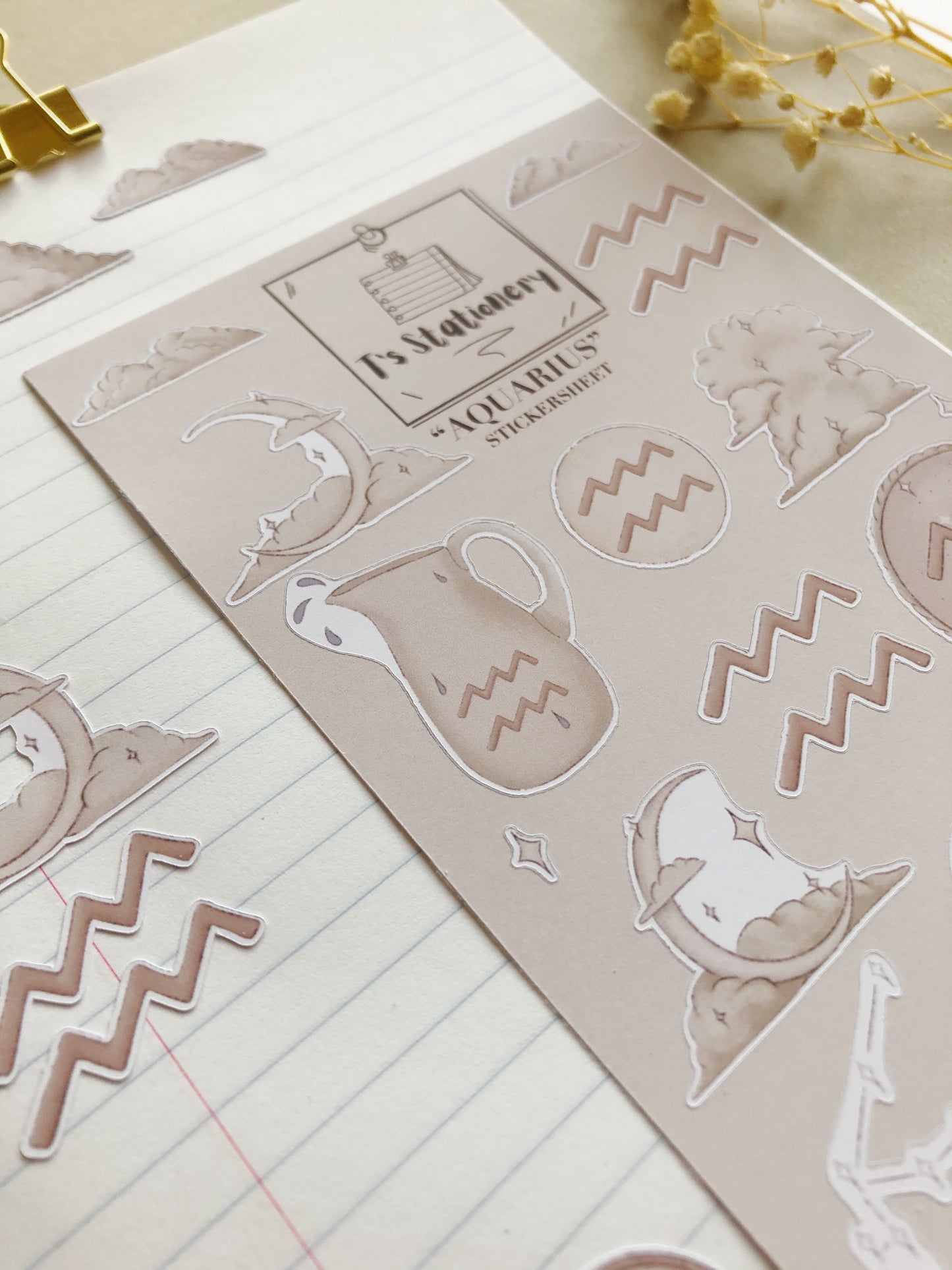 "Aquarius" Sticker Sheet