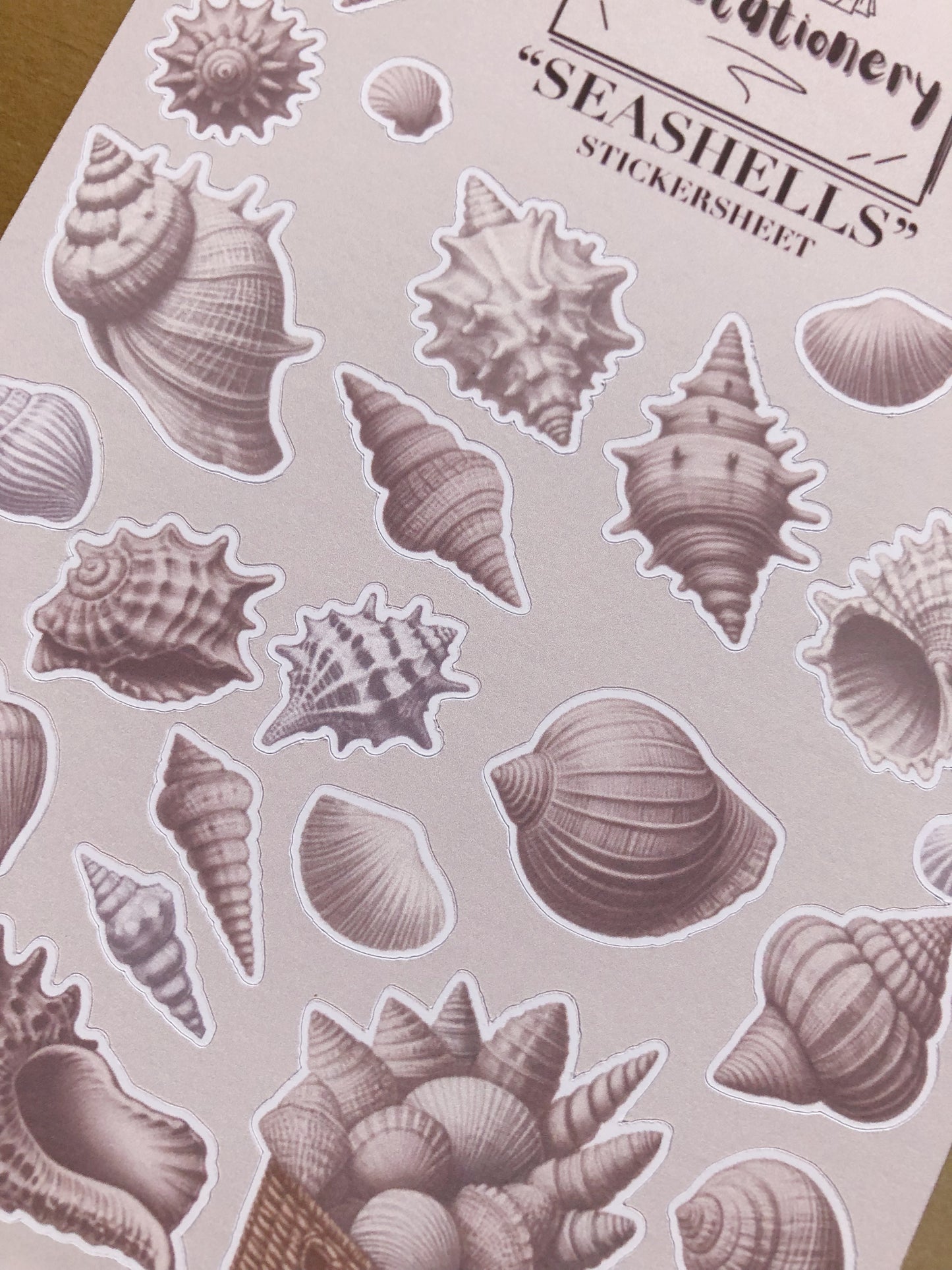 "Seashells" Sticker Sheet